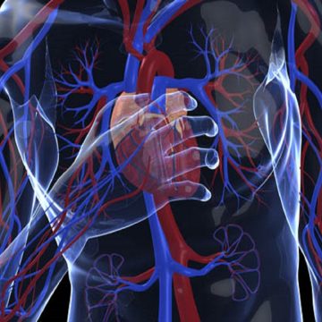 Vacina Colesterol e Doenças Cardíacas